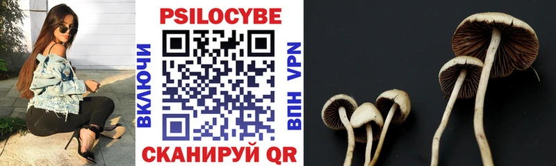 Псилоцибиновые грибы GOLDEN TEACHER  Купить закладки  Зуевка 